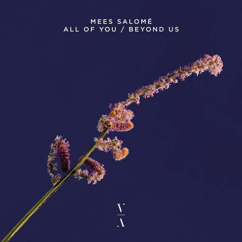 Mees Salomé - All Of You _ Beyond Us